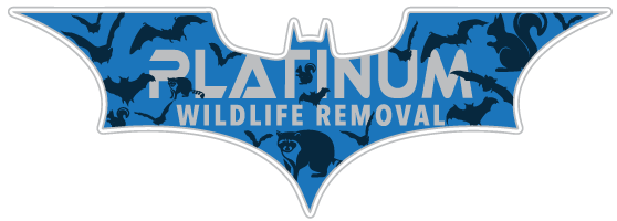 Wildlife Removal Daviess County
