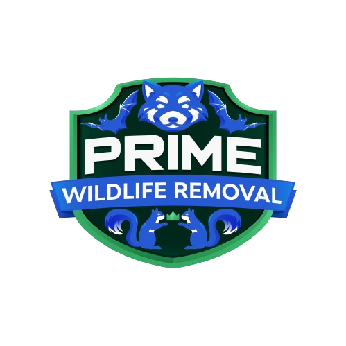 Wildlife Removal Daviess County